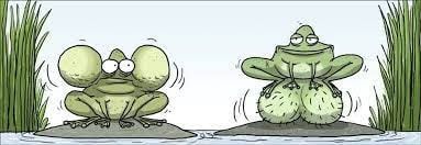 ��� ����������������� ����������� �������� ������ ���������� ����������