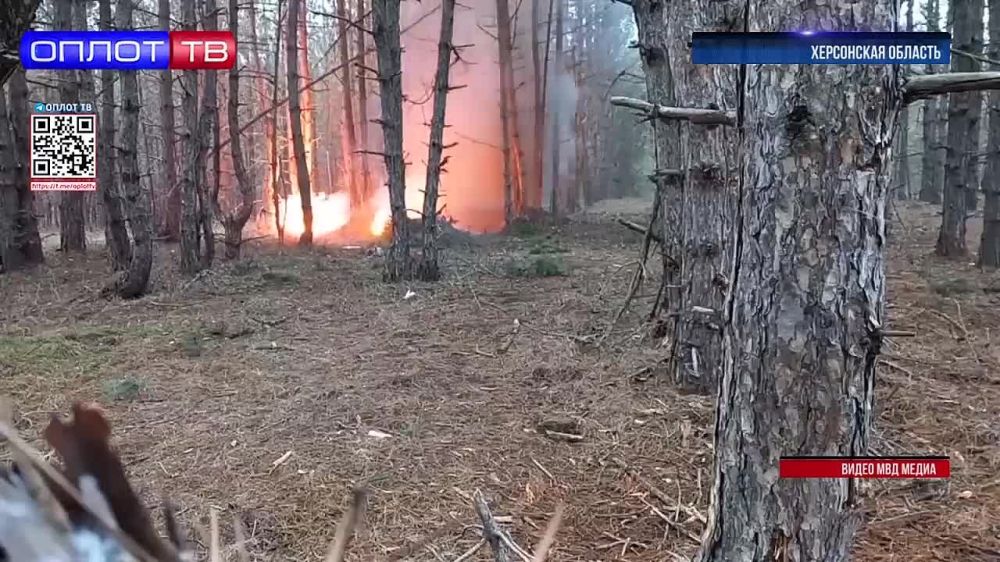 � ���������� ����������� ������� ���������� �������� ���������� ���