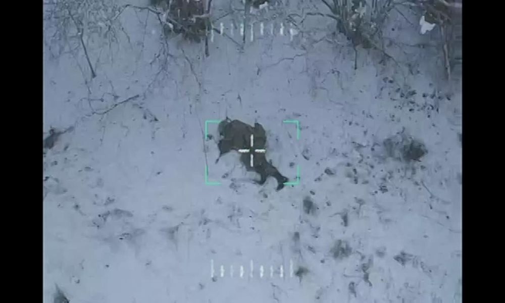 ��������� �� �������, ����������� �������� � ������ ���� ��� ������ ������