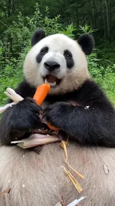 ������ ������� ������!. �� ���������� �����: