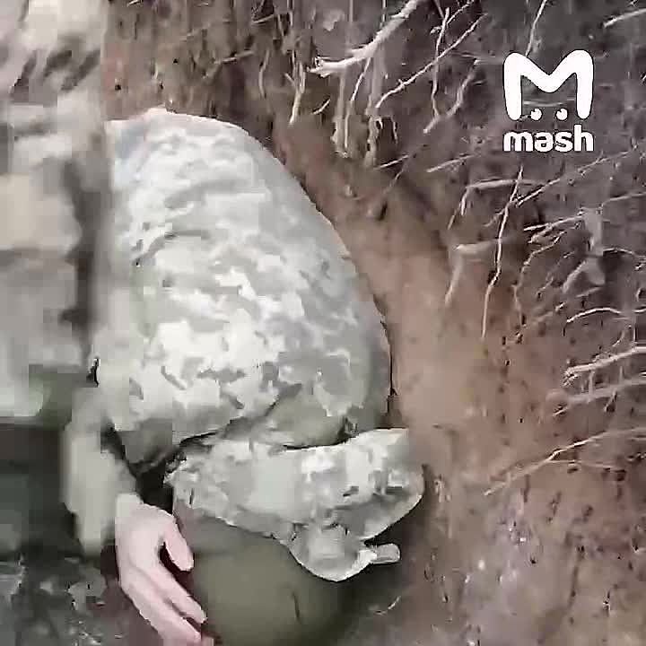 "���� ������, � ������ ��� ���������? ��� ��, ��������, ����������"