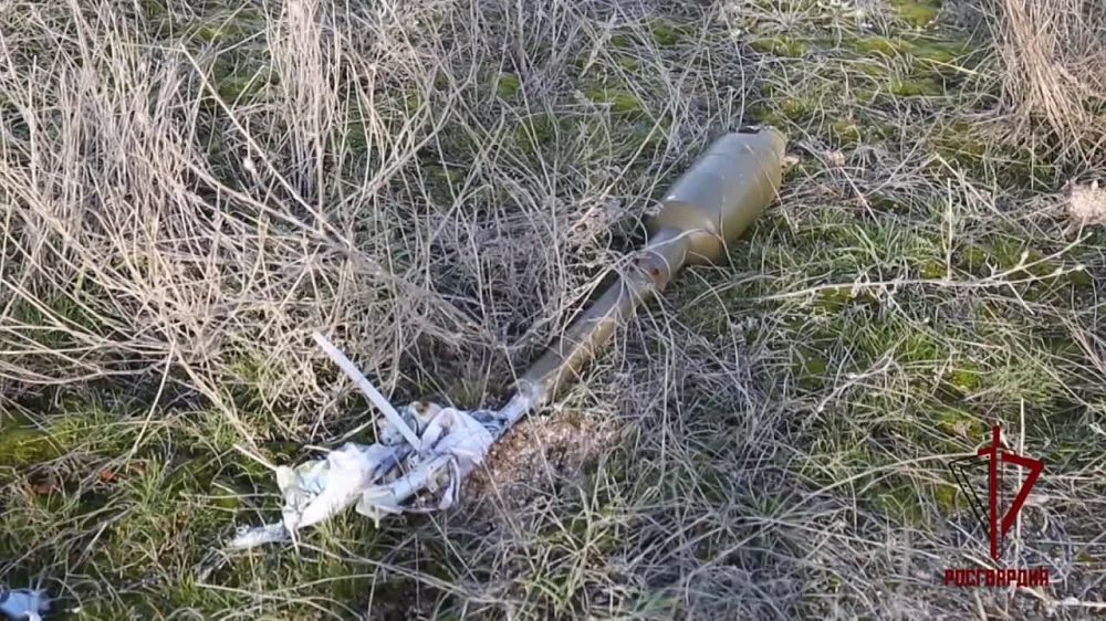 ������� ���������: �������� ���������� ����������� 4 ��������������� �������� � ��� � ���������� �������