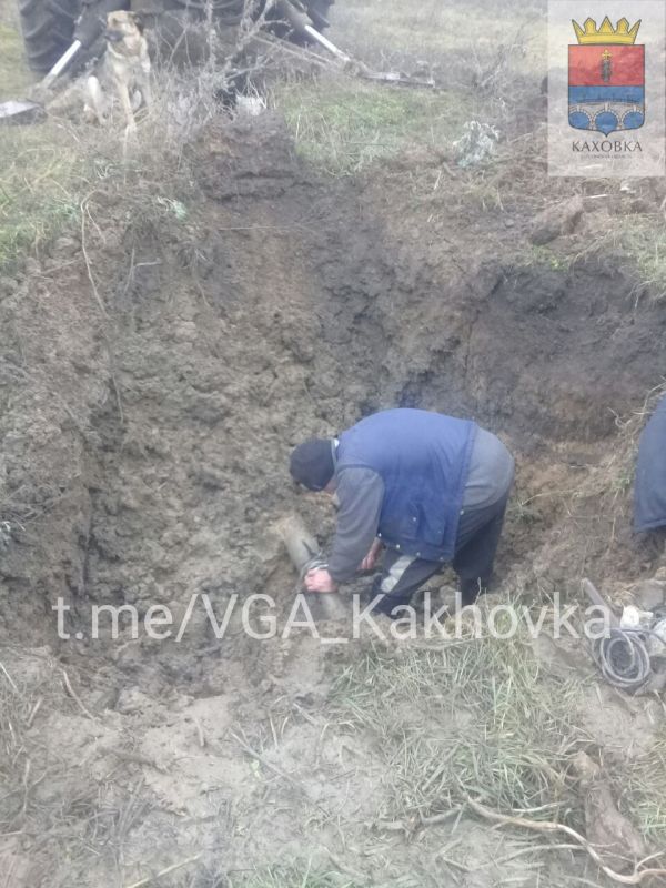 ����������������� ������������ ����������� �����������: