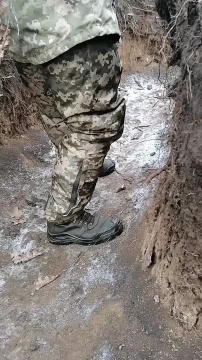 ��������� ���������: ��������� ������� ���������� � ���� ���, � ����� ���������� ��� ����!