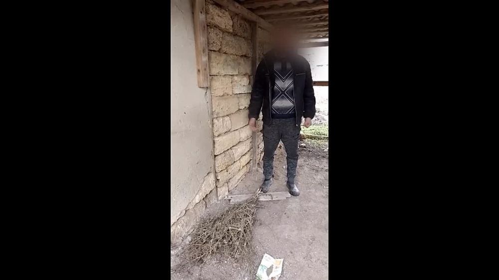 �� ���� � ���������� ������� ����������� ������� 3 ������ ����������� ������� ����������