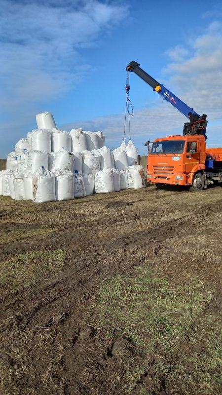 ����������� ��� ���������� ������� ������� ������� ������� ������� � �������� 10 ������� � ����������� �����, ����� ����� 600�