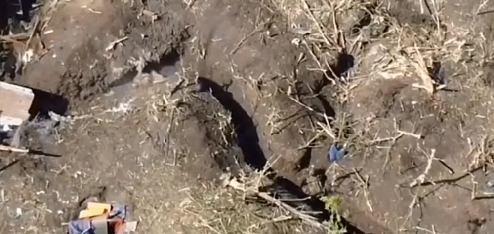 �������� �����: ����������� ����� - ������� ����� �������� ���������� �������