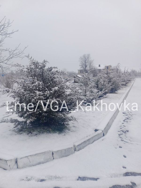 ������ ������ � ���� ������� ������� ���������� �������������� ������