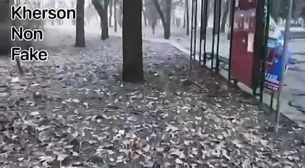 ���������� ����������� �������������� ����, ��� ������� ������������ ������