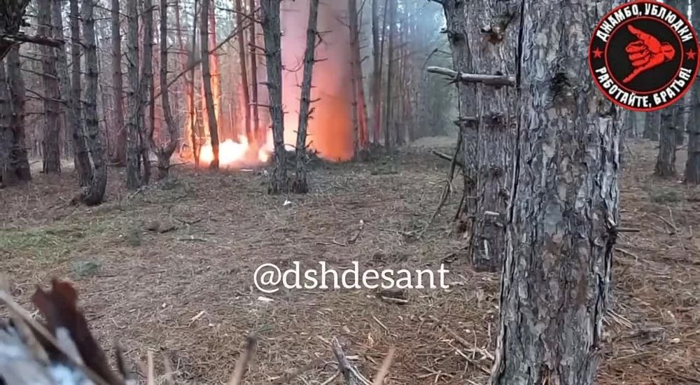 ������� ������ ��� �������� ��������� � ���������� ���������� �� ����������� ������ ����� ������ ���������� �������