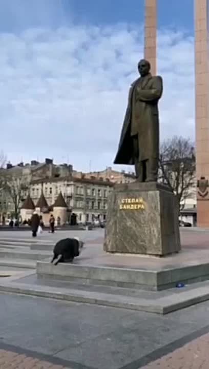 ����� ����� �������������