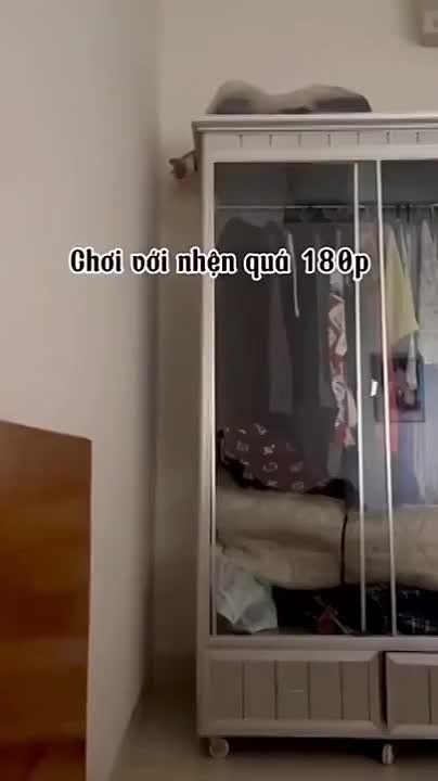 ������ "���� ����" � �������� � ��� ���������