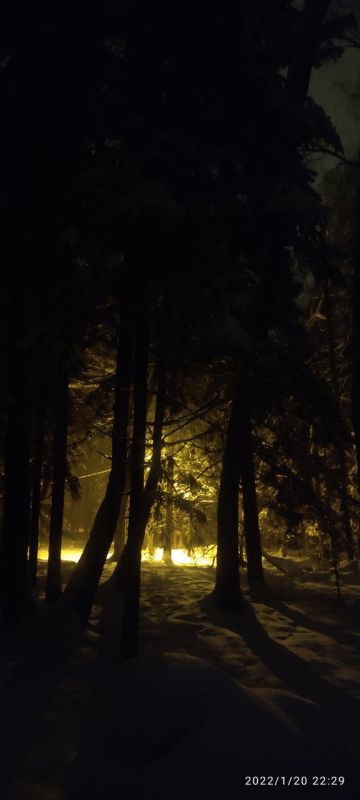 ������ ���� ������. �� ���������� �����: