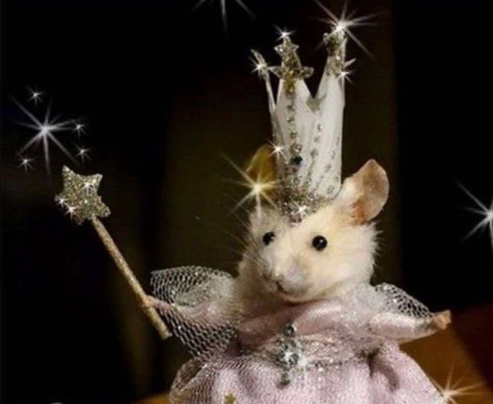 ����� ���������� �� ������ ��������� � 124-�� ��������� ������� ��������������� ������� ���