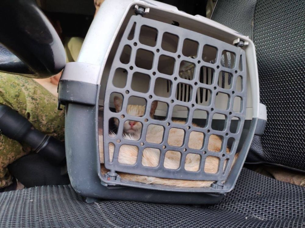 ������� ����������: ��� ��� �� ��������� ������ ���� � ������������ �����?