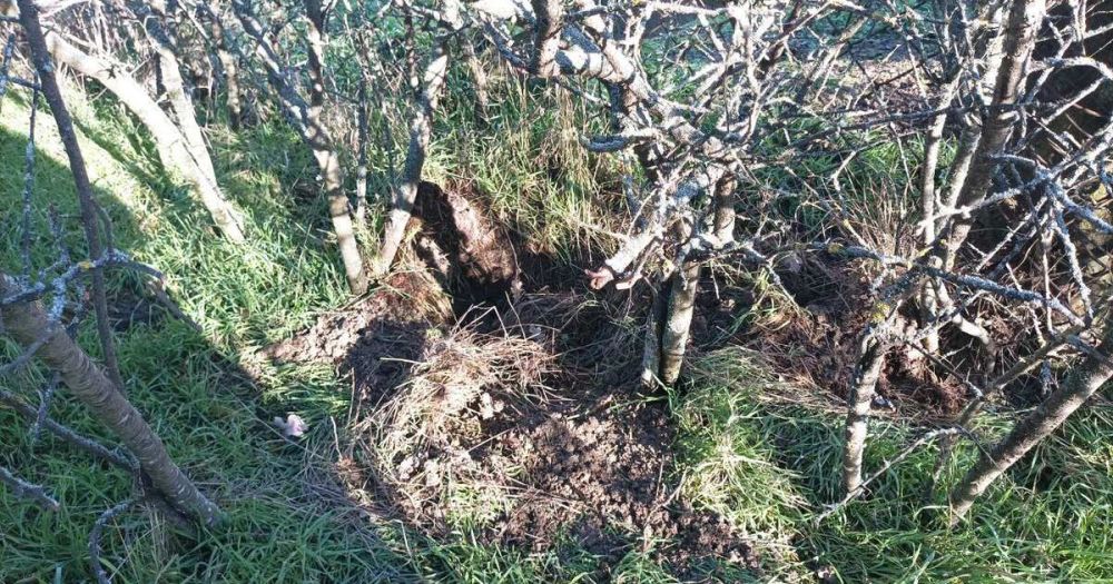 ������ � ��������� ����� � �������� � ���������� �������