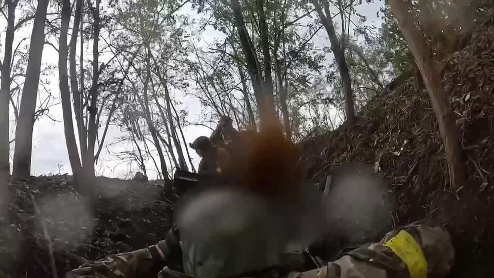 ��������� ������ ����, ��� ���������� ������� �������� ������ �� �����