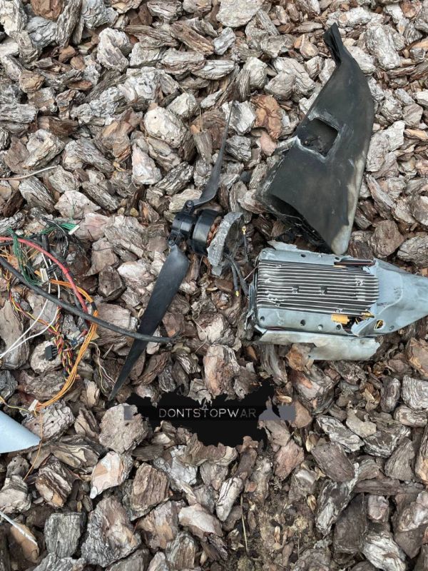 ����� ����� ������.. ������ ��� ������ ���� �����-��������� � ��������