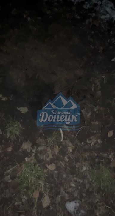 ������� ������ � �������� ��������� � ���� ��� �� ���� � 4 ������ �� 5 ������� 2023 ����