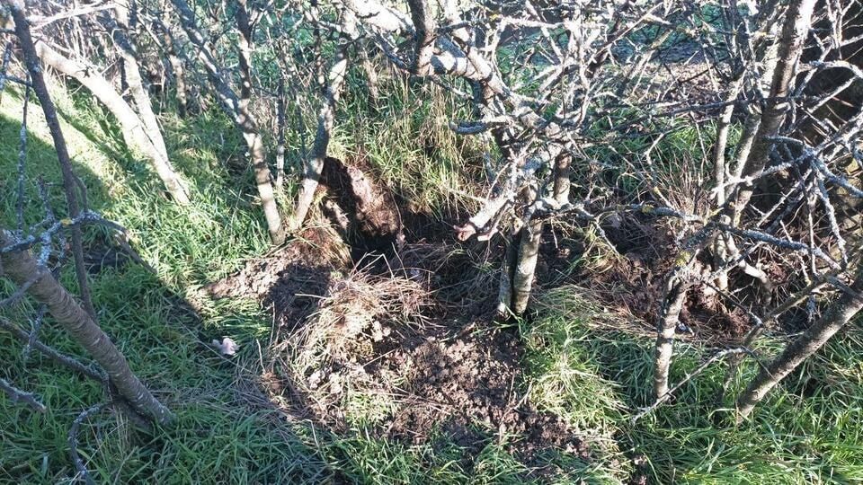 ����������� ����� ������ � ��������� � �������� � ���������� �������