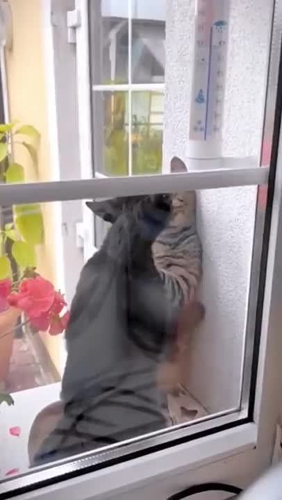 ��� ���, ��� �����, ��� ���� ���������� �����, �������� ����� ���-���!