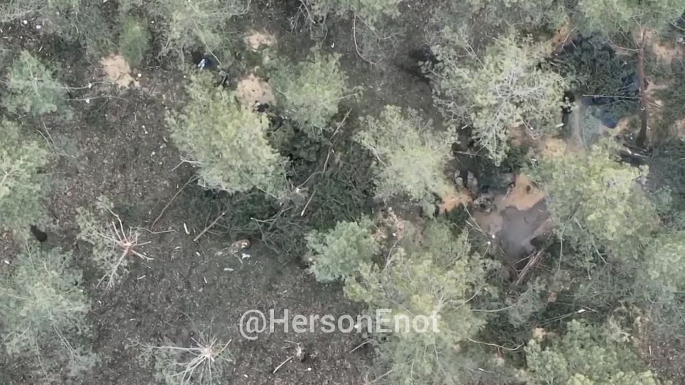 ���� �� �������: �������� ��� ���������. ��������� �� ����� �� �������