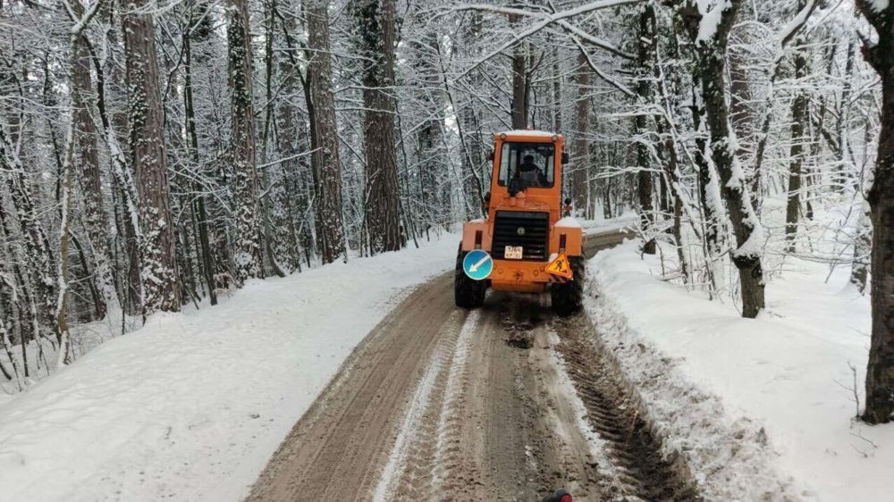 ������� ������� �����: 6 �������