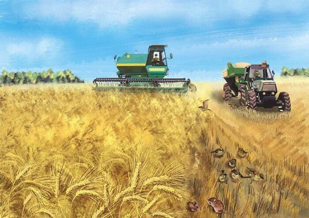 ���������� �������� � ��������������������� ���������� ������� ��������� ������ �� ������ �������������, ������, ��������, �����-�������� � ������ �������