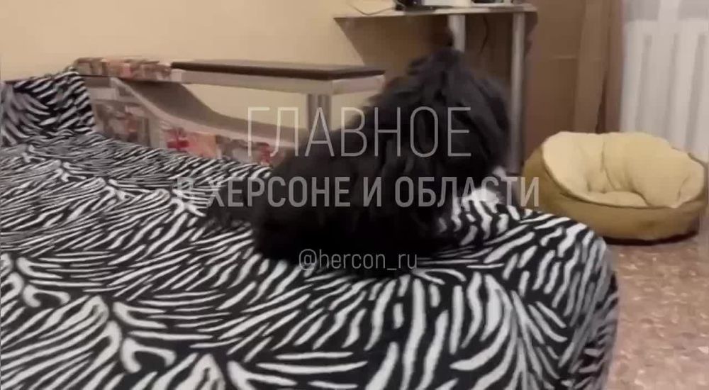 �������� � �����, ������������� �� �������� ���������� � �������������� �������� ��� ���������� � ����� �����