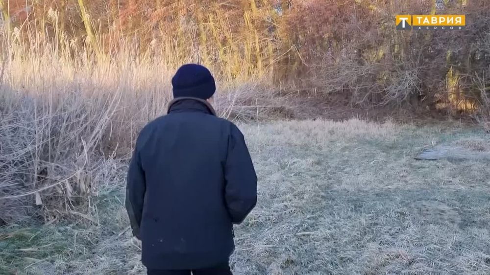 ���������� ������-����������� ������������� ���������������� ������ ����� ��� ��������������� ���� ������� ����������� ����