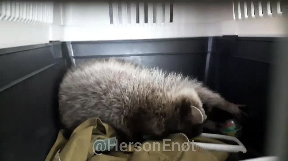 ���� �� �������: �������� ��� ������!. � ��� ������� ����� ������� � ������� �����. �� ������, � ����������� � ����� �������. � ��� ��� ������ �������� ��� ������ �������, ����� �� ������