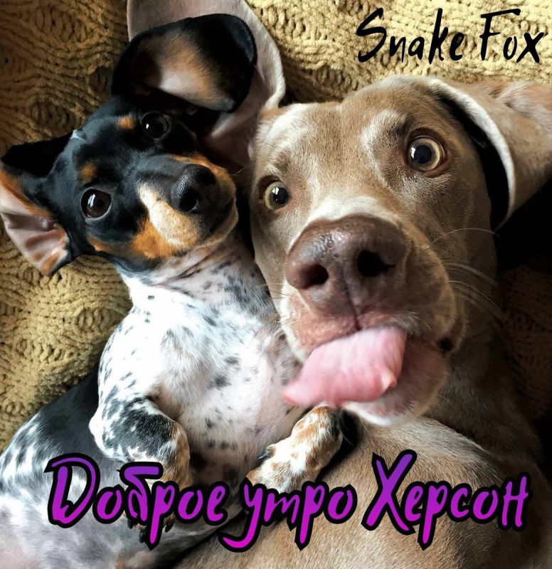 �� ���������� �����:. @NSDVKhersone