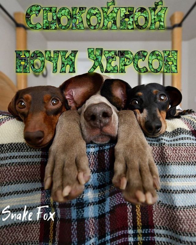 �� ���������� �����:. @NSDVKhersone