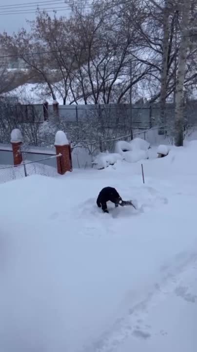 � ��, ������� �������� � �����, �������, �� ��� ������� ����, ��������������� �������