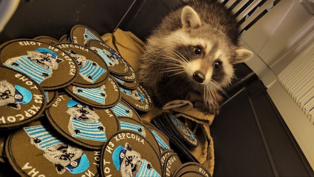 "����� ��� ���� �� �������"