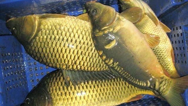 ������������� ������������ ����� ������������ ������ �� ���������� ������������ ������������ � �������� ������ �� ���� �����ѻ ��������� ��������� ����������� �������������� ��������� �� ���������� � ����������� ��������