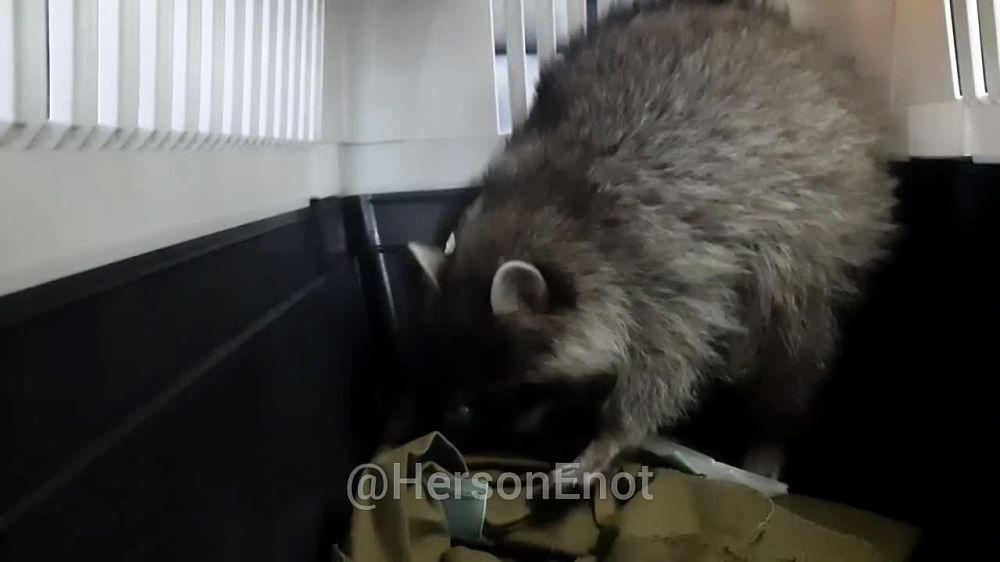 ���� �� �������: �� ������ ������ �� ����������� ��� ����� ������!