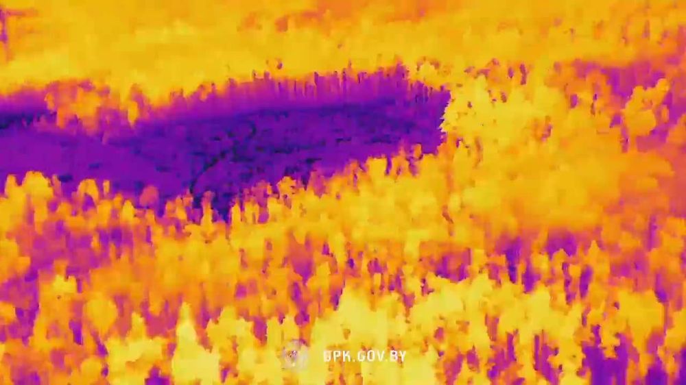 ����������� ������������ ����������� ���������� �����������, ������������� ������������ ��� ��������, ������� �������������