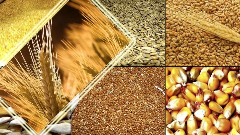 � ���������� ������� ���������� ����� ����� �� ������� �������