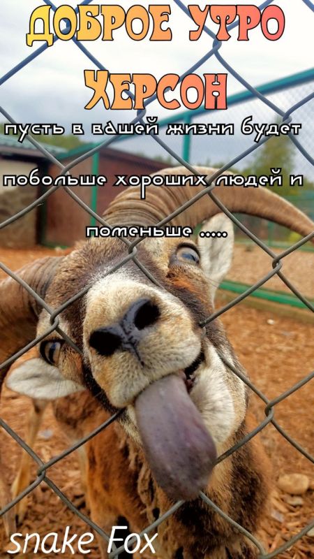 �� ���������� �����:. @NSDVKhersone