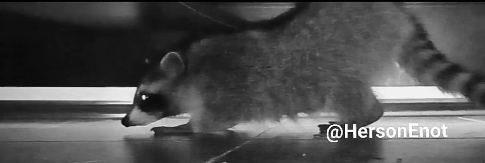 ���� �� �������: ��� � ����� ���� ������� �� ����� ������� �����