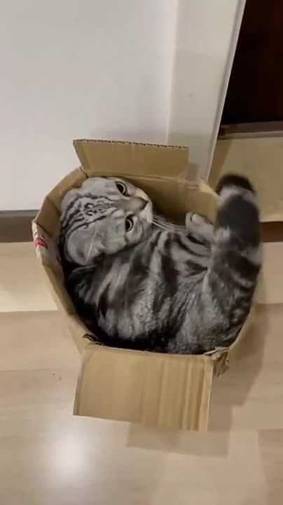 ���, ������, �� ������������� �� ������