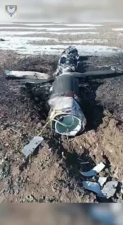 ��� ����� �� ��������:. ����� ������ �� �����!!! � ������� � �������� ���� ����� � ��������� ����������� � �����. ��������� ���� �� �����