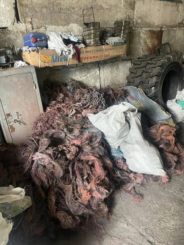 � ������ ����� ���� ��������� ������ �������� � ������� ����� 5 ���������� ������� ������, ����� ����������� � ������� ������