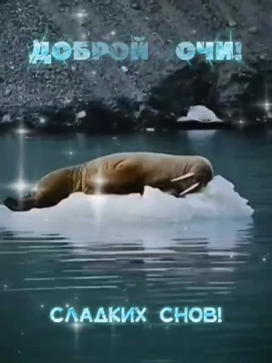 ���, ������, ������� ����� ����� �� ������