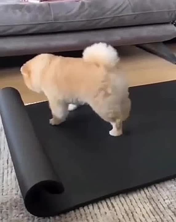 ���� �������� ����������, ����������, ������!