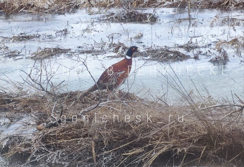 ����� �� ��������� ��������� ����