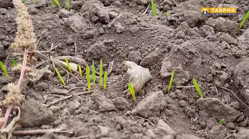 ���������� �������. ������� ���������� �������� ������ � ������ ������� ������. �������������� �� ����������� ���� ��� ����, ����� ������������ �� ����� ���������� ������� ����� ������������ �� ������� � ������ �������