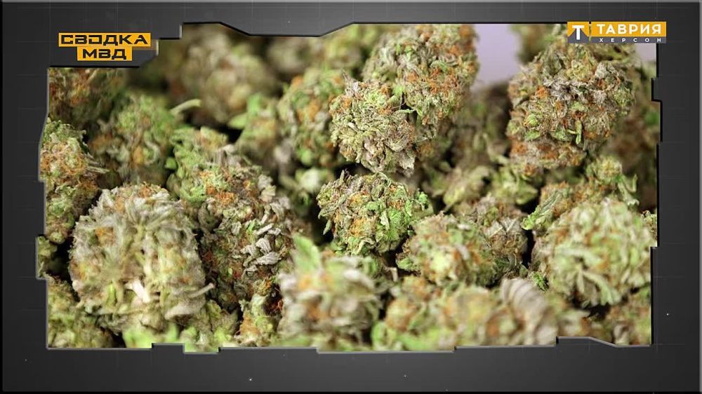 ������ ���:. - �� �������� ������ ���������� ���������� ������� � ���. �������� ���������� ������� �������� ����������, ��� � �������� ���� �� ����������� ����� ��������� �������, ������� �� �������