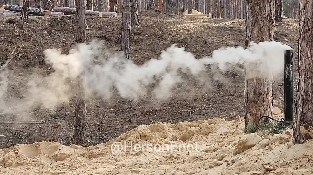 ���� �� �������: ������, �� ������� ���� � ��������� ����